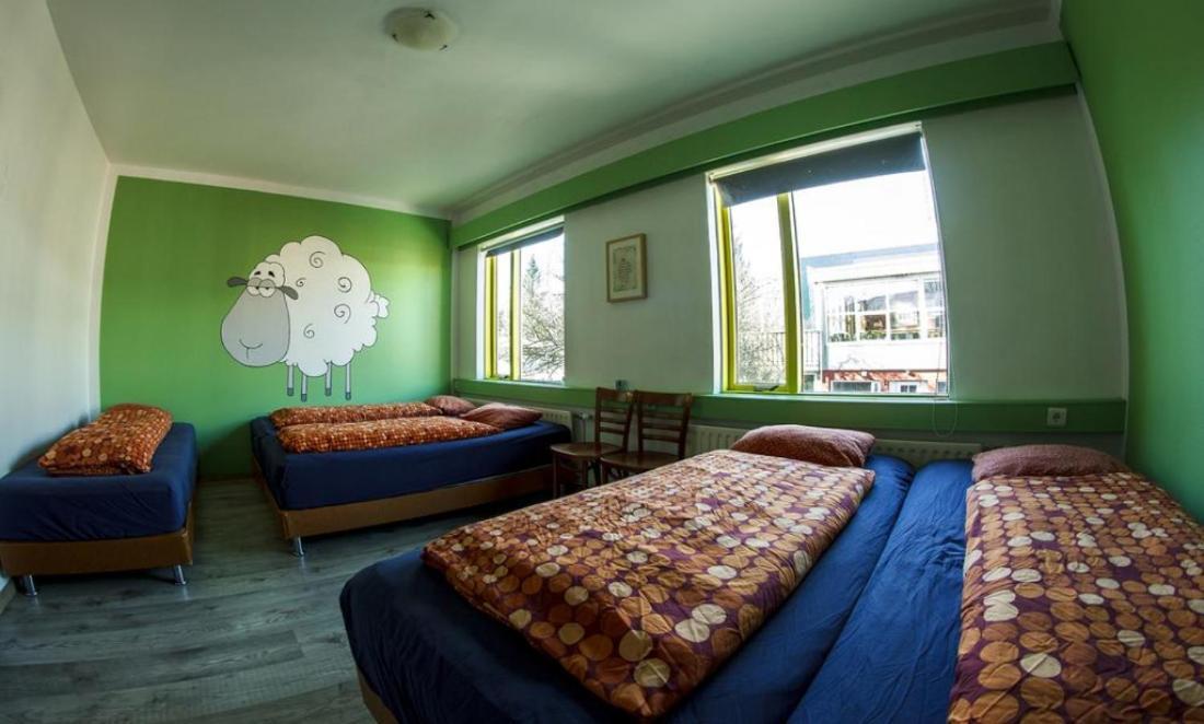 Hostel Selfoss Hostel *